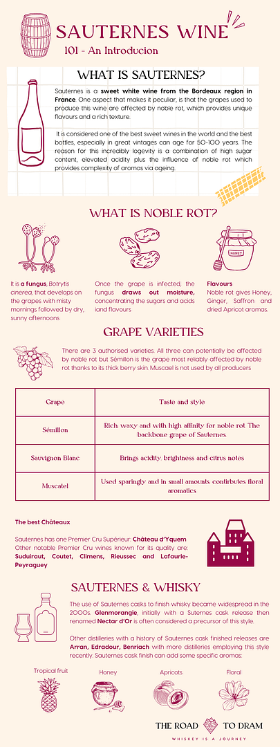 Intro to Sauternes wine infographic