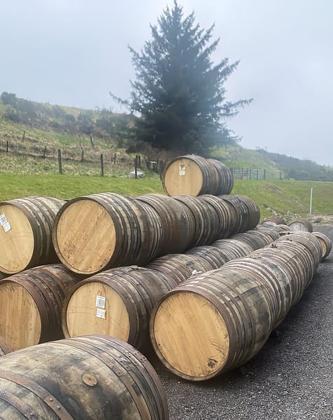 Whisky barrels waiting to be filled