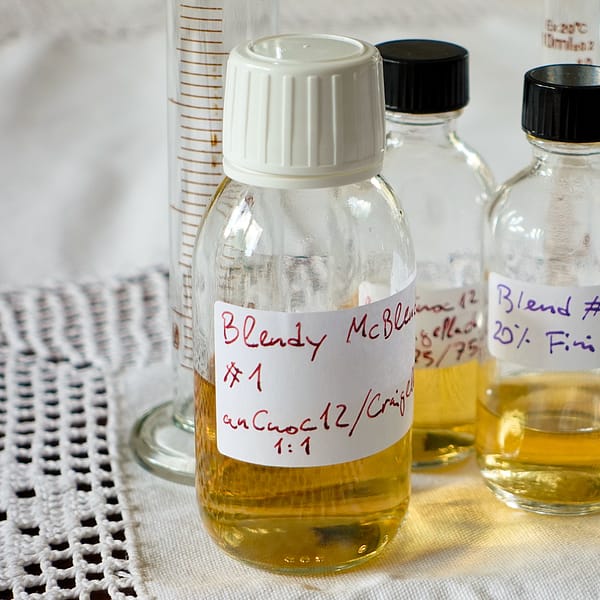 The dregs - Blendy McBlendface