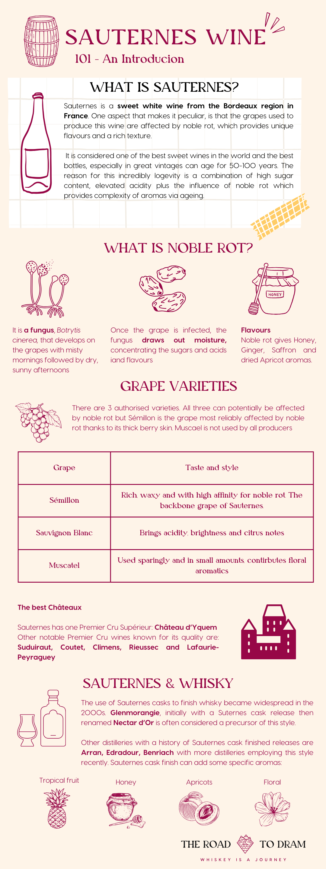 Intro to Sauternes wine infographic