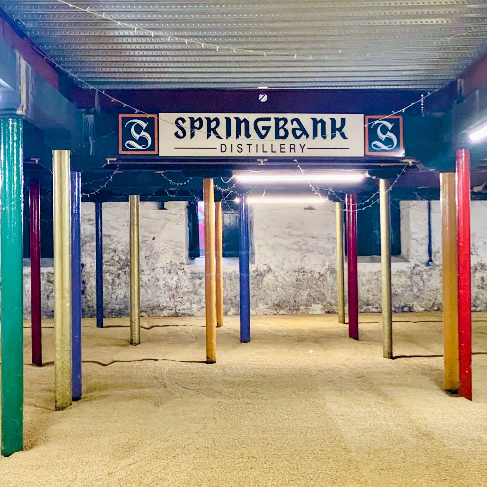 Springbank's malting floor, barley laid out to germinate